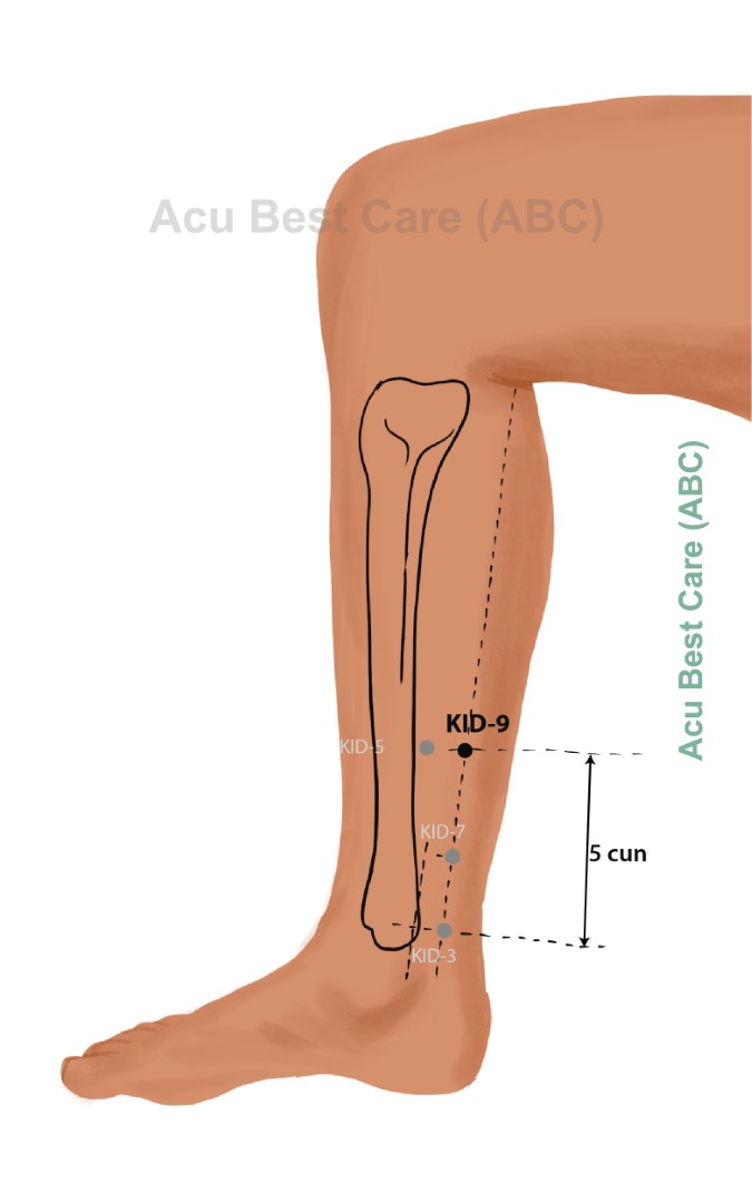 Acubestcare Meridian K-09 or KID-09